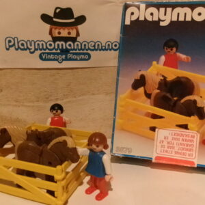 3579 - Barn med ponnier